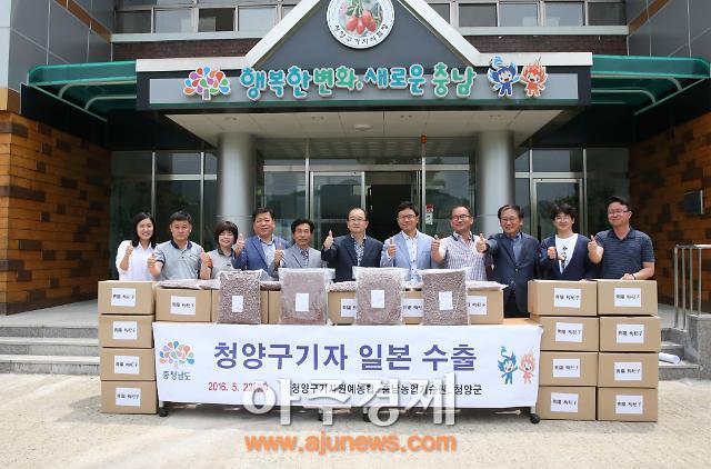 청양 구기자 일본 수출 길 첫 발 내딛어