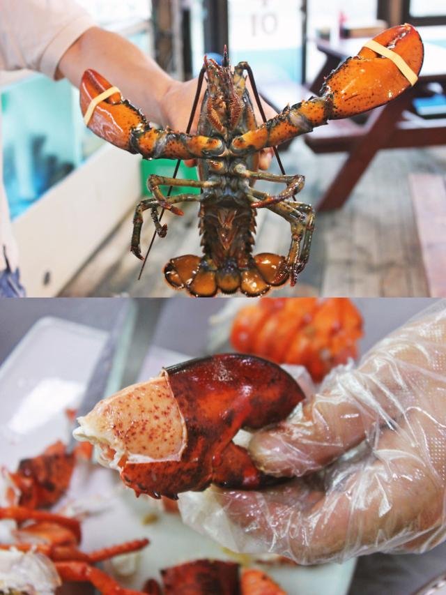 안면도 대하 맛집은 따로있다? 랍스터, 게국지, 대하, 회 전문 ‘대양횟집’