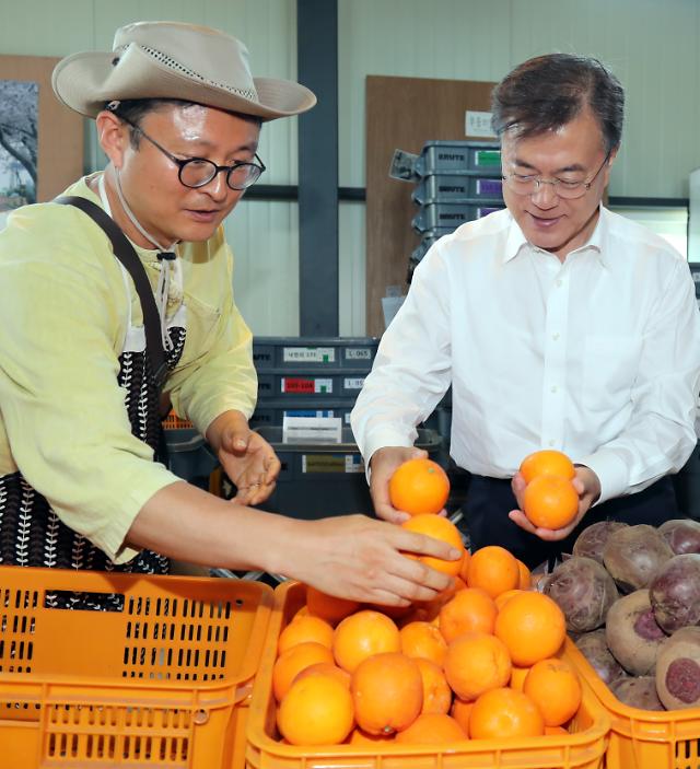 문재인 대통령, 제주 마을기업 방문…제주 관광산업 질적 도약 해야