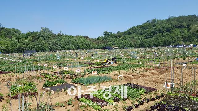 안산시 2018 주말농장 분양신청 받아 