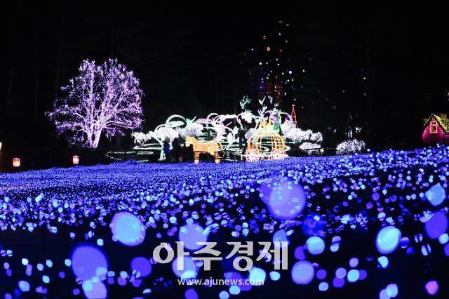 [가평] 아침고요수목원, 크리스마스 이벤트 별빛행운 