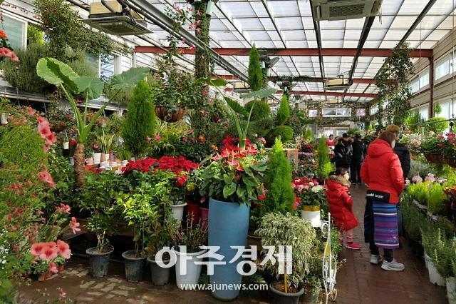 허브아일랜드 미리봄 축제 LTE급 봄을 만나보자 