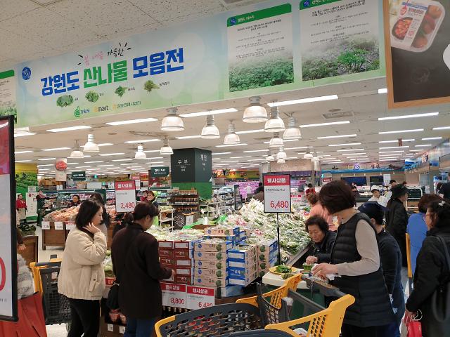 제철 맞은 강원도 청정지역 산나물 인기 