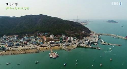 삼길포항 무엇이길래, 화제? 키조개도 제철 