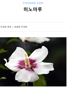 [강효백의 新경세유표 12-21] 한국대표 무궁화 ‘신태양’은 ‘히노마루’  