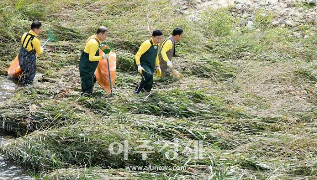 대전중구, 효문화뿌리축제 성공개최 기원 하천 정화활동