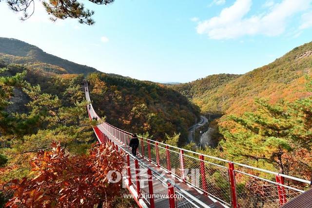 파주 감악산 출렁다리 누적 방문객수 200만 명 돌파 눈앞