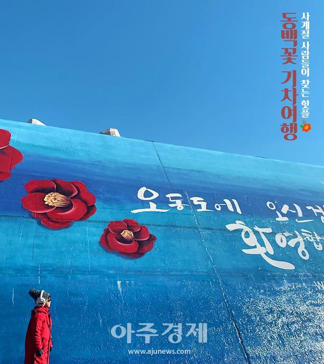 동백이는 없지만 동백꽃 향기는 가득…오동도 기차여행
