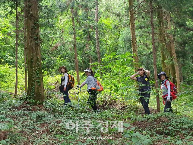 승우여행사, 해남 달마고도 종주 스탬프 투어 운영