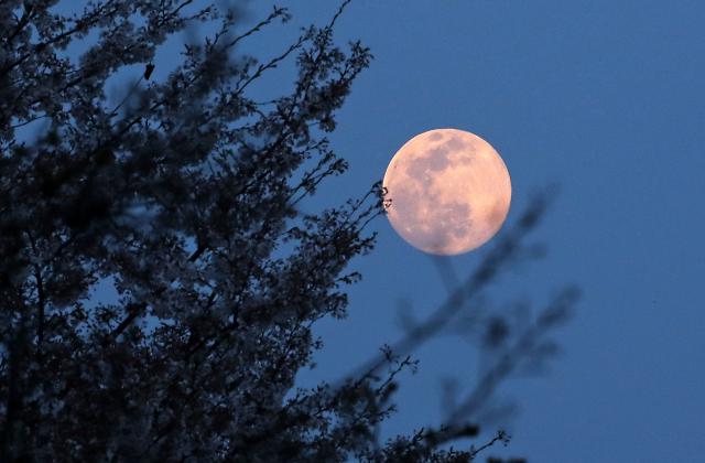 추석 보름달 보려면 ‘밤 12시’…구름 때문에 중부지방 서둘러야