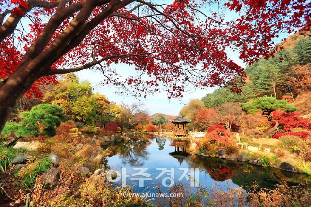 가평 아침고요수목원, 4회 연속 한국관광 100선 선정···사립수목원 유일