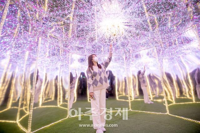 인생샷 명소 여기있네 롯데월드 어드벤처, 화려한 조명·포토존 눈길