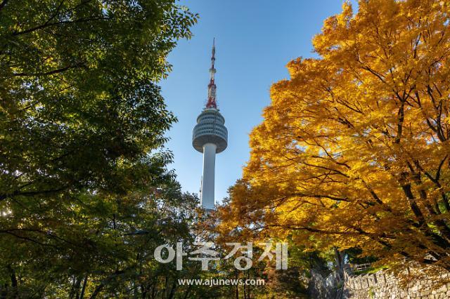 [광화문갤러리] 단풍 물들어가는 남산
