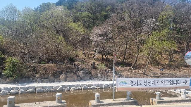 [경기도, 법으로 바꾼 세상] ②다시 자연으로…불법 무허가 계곡 정비