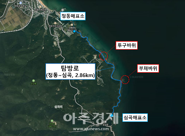 강릉시, 70만명이 찾은 정동심곡 바다부채길...10월 전면 개방