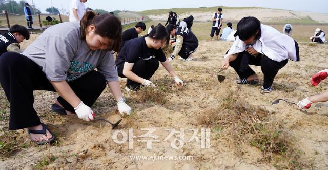 태안군 대학생 MT의 메카 태안, 거리두기 해제 효과 톡톡