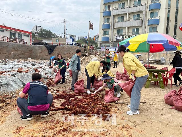 동해시, 민관군 500여 명 참여 대대적 환경정비 나서