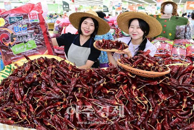[포토] 농협유통, 햇살 가득 담은 2023년 태양초 햇 건고추 본격 판매