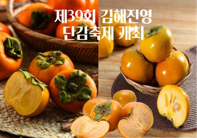 [김해소식]제39회 김해진영단감축제 개최 外