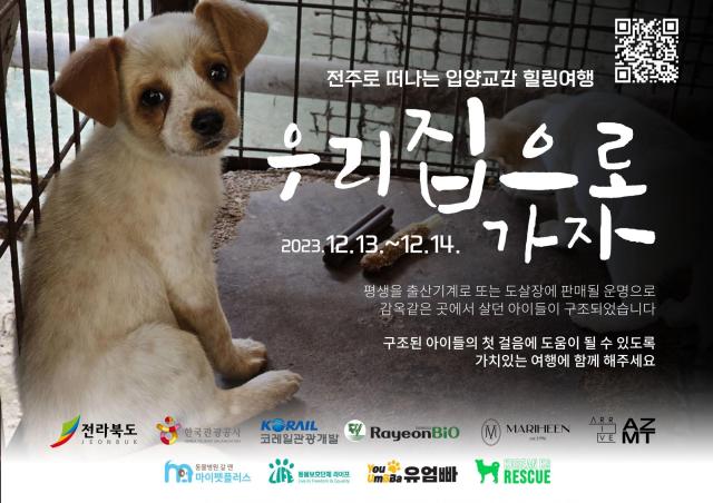 우리집으로가자, 13일부터 개최...20여 마리 강아지 참여