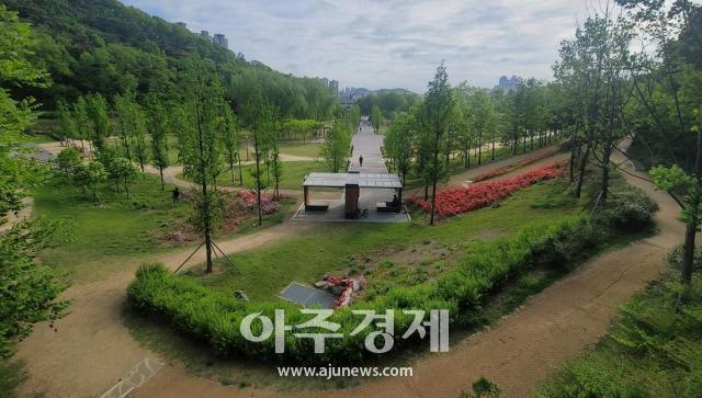 대구시, 아름다운 50선에 선정된 두류공원‧달성공원 도시숲