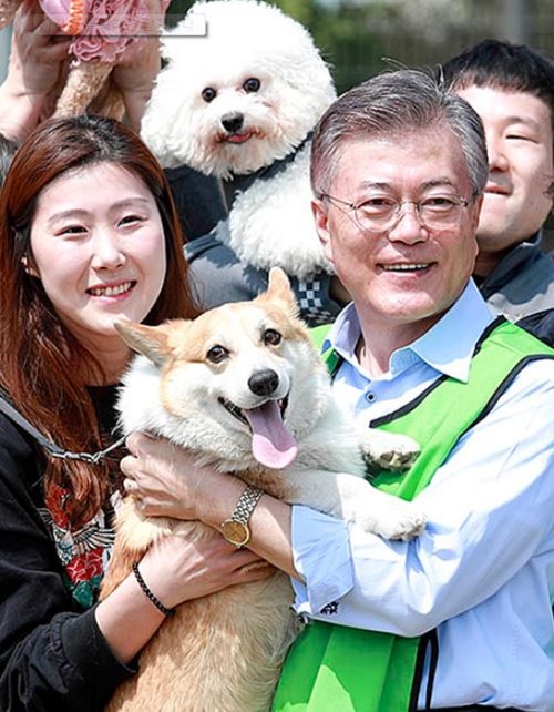 맞춤형사료·온라인수의사…유통가 반려동물 서비스 개발 경쟁