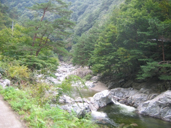 [국립자연휴양림 예약, 유명산·중미산·산음·강씨봉·용인·축령산·칼봉산·안면도·변산·방태산·미천골·가리왕산 자연휴양림]