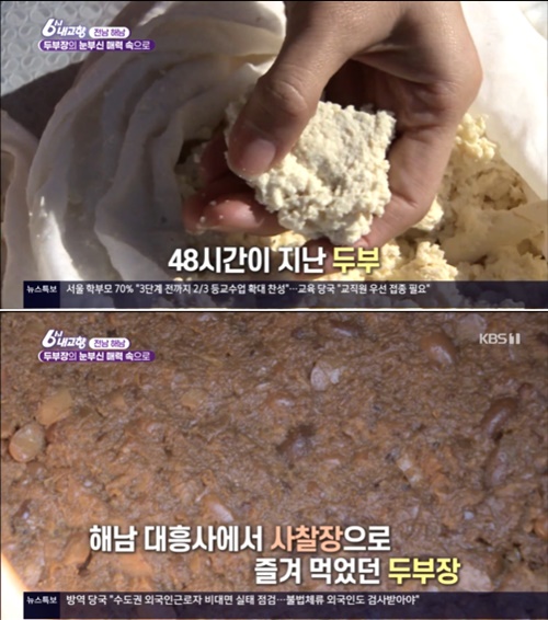 6시내고향 해남 두부장, 100일의 기다림