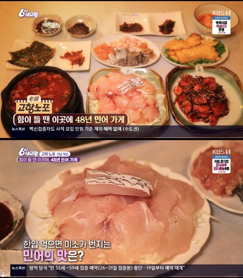 목포 만호 민어, 유달 고향노포 48년 역사 횟집
