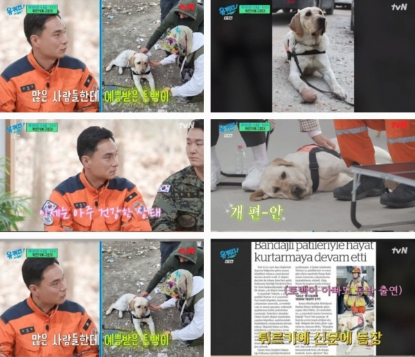 유퀴즈 튀르키예 대지진 구호견 토백이 현지서 머리 까질 정도로 예쁨 받아