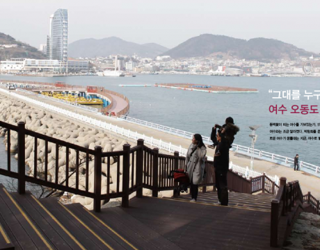 이번 주말에 떠나요 : 여수 오동도 동백꽃