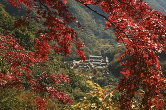 [이원근의 날마다 가고 싶은 그곳] 단풍 일번지, 내장산을 옛길따라 호젓이 걷다