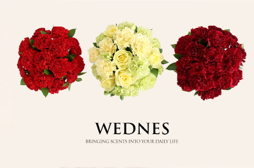 론칭 3주째인 WEDNES(웬즈)‥눈에 띄는 인기몰이에 콧노래