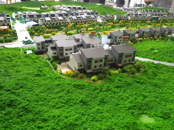 삼송자이더빌리지 앞마당 있는 단독주택단지...3040세대 몰릴까