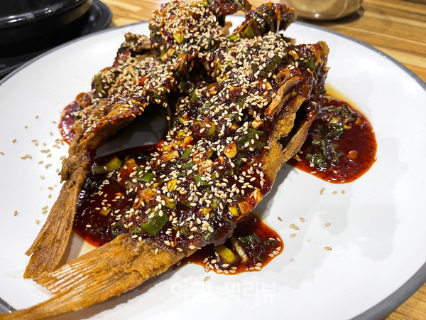 [Story 포토] 내돈 내산 신행 제주도 맛집투어