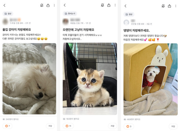 당근, 2024년 1~2월 동네생활 게시판 토픽 TOP5 공개...1위 반려동물