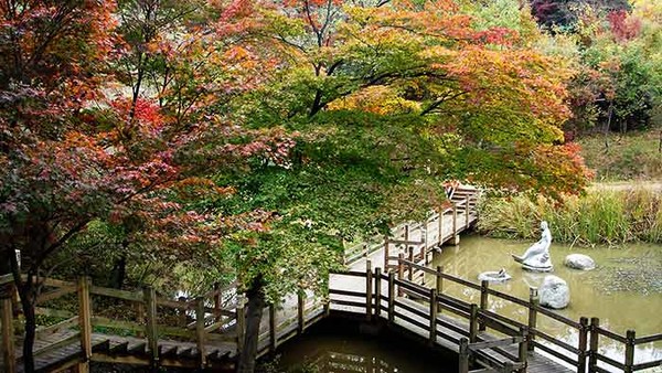 [오매, 단풍 들것네!] 단풍 오솔길 아차산성길…단풍 가로수 터널 워커힐로 (5/5)