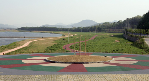경주 서천둔치 대규모 억새단지