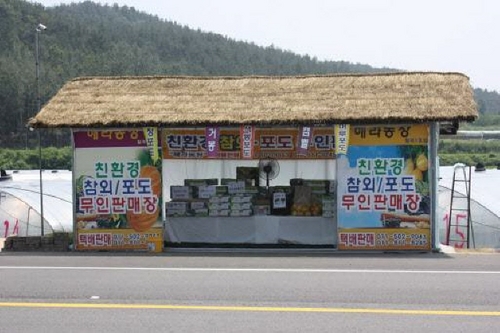 친환경 농산물 양심 받고 팝니다