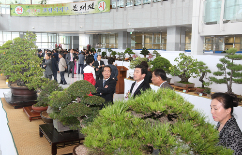 오랜 세월 가꿔온 나무 예술