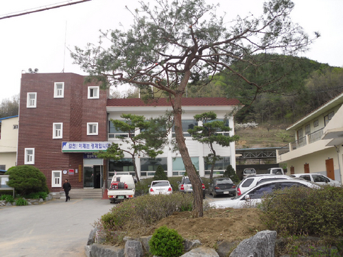 김천 (주)율곡, 소나무 기증