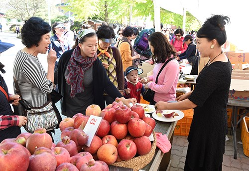 문경사과축제 42만명 찾았다