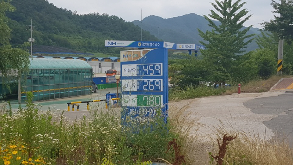 영양 지역 더 비싼 농협주유소, 농협만 배불러