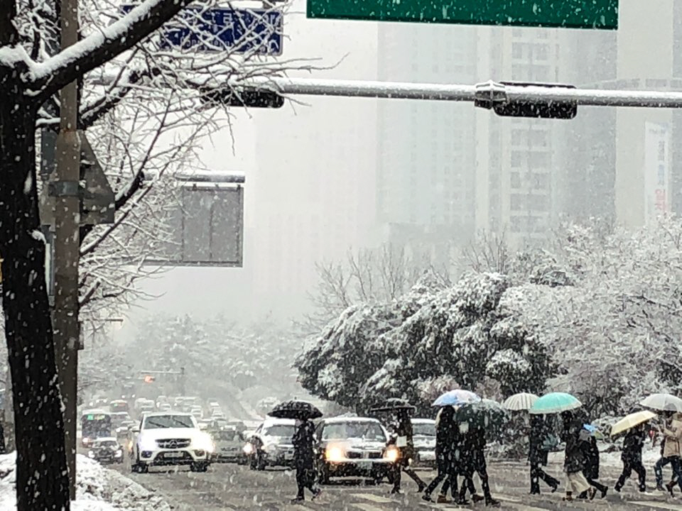 폭설에 대구 일부 초등학교 휴업 조처