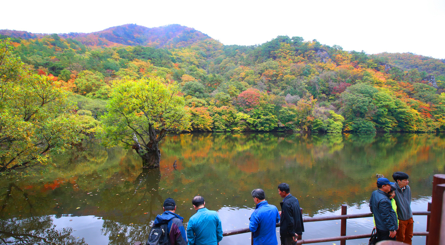 [포토] 오색단풍 물든 주산지