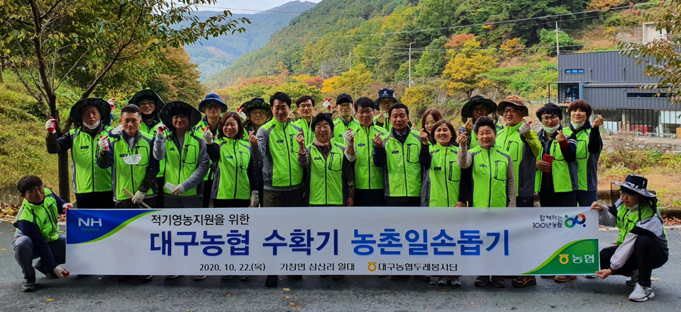 대구농협 두레봉사단·가창농협, 가창면 삼산리 들깨 농가 일손돕기 구슬땀