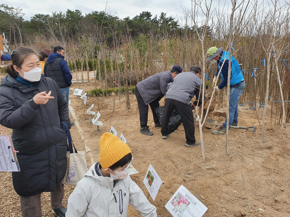 봄을 들여가세요 경북지역 나무시장 인기