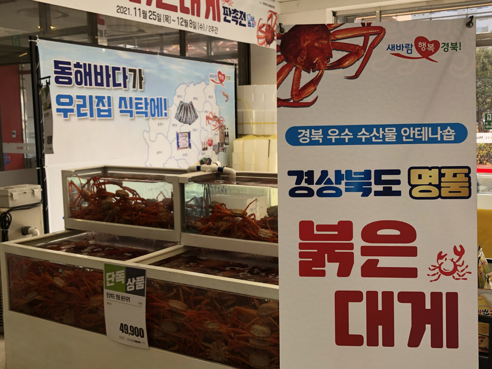 경북 명품 붉은대게 서울 입맛 홀린다