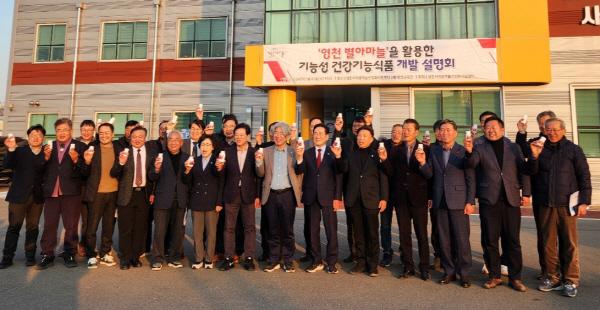 별아마늘, 영천마늘 우수성 국내·외 알려