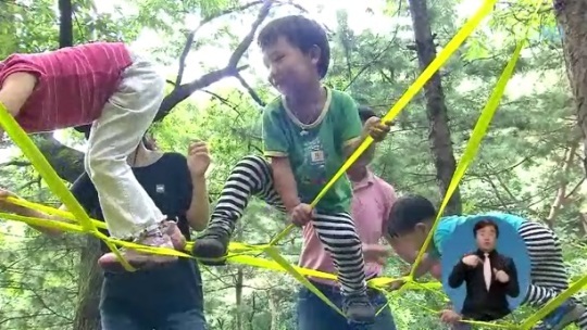 숲 교육 국가 자격증 생긴다